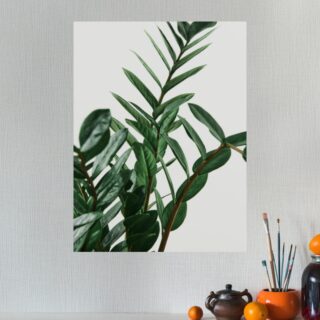 Plante tableau Vertige botanique
