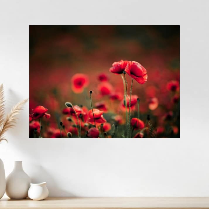 Tableau coquelicot Fleurs d'été