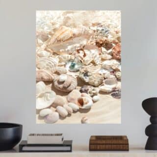 Tableau coquillages Reflets marins