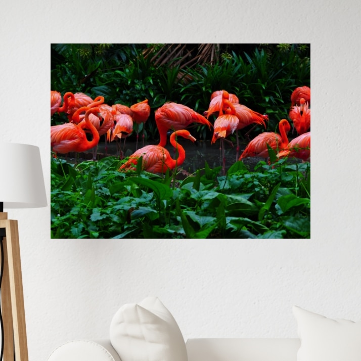 Tableau Flamant Rose dans la jungle
