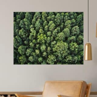 Tableau Forêt Mystérieuse Chemin Enchanteur