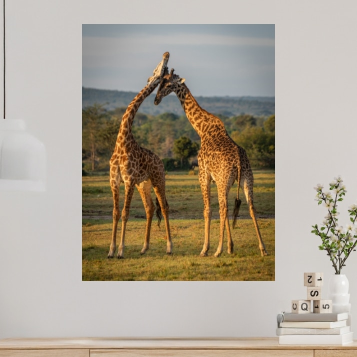 Tableau Girafe Deux girafes au coeur de la savane