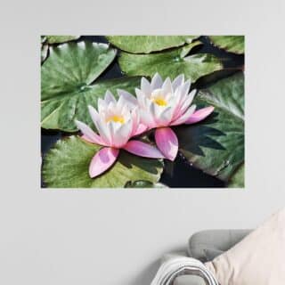 Tableau Nénuphar Harmonie sur l’Eau