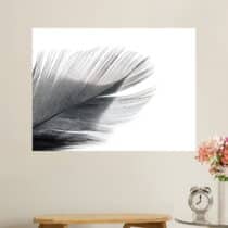 Tableau Plume Ombre et Douceur