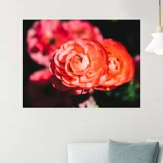 Tableau rose Murmures de pétales