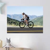 Tableau Cyclisme en Montagne