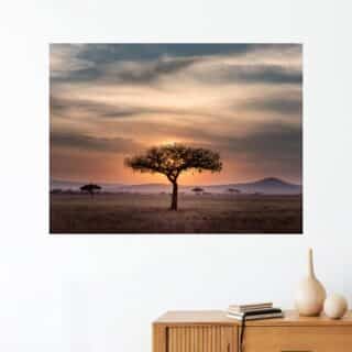 Tableau africain solitude au coucher du soleil