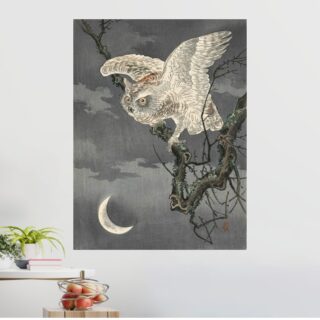 Tableau Petit-duc sous la Lumière Lunaire